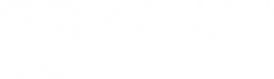 kanzu-banking-a-solution-from-kanzu-code